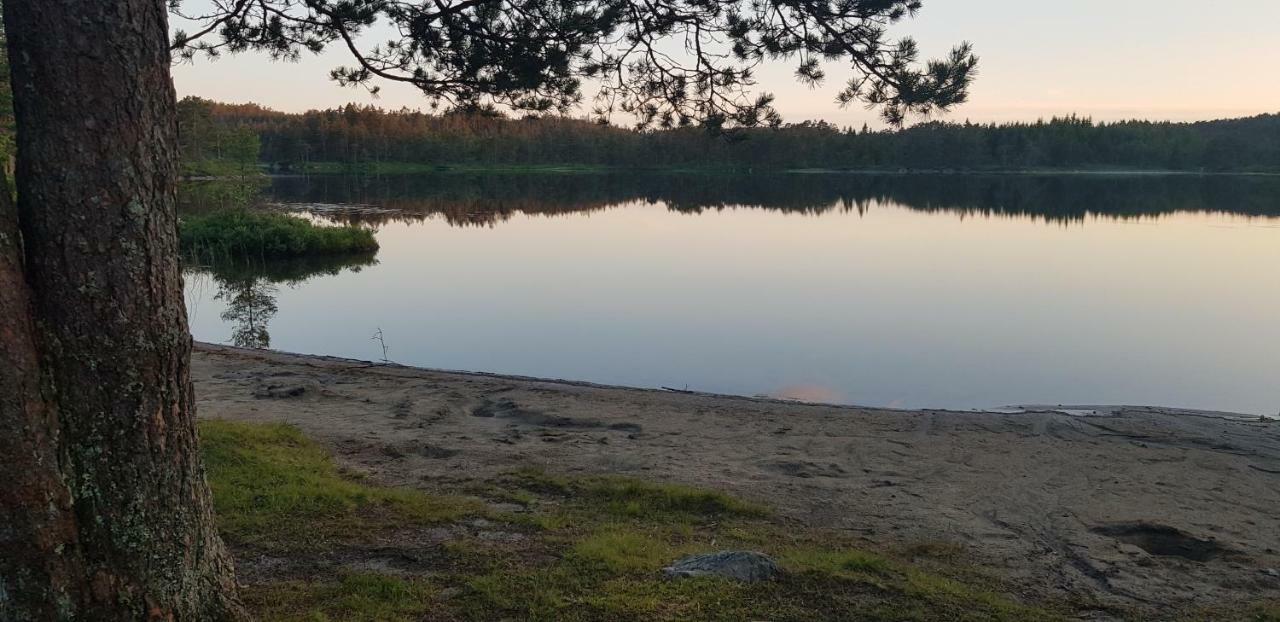 Ovrebo Cozy Cottage In The Woods, Near Dyreparken In Kristiansand, Lake Lolandsvannet المظهر الخارجي الصورة