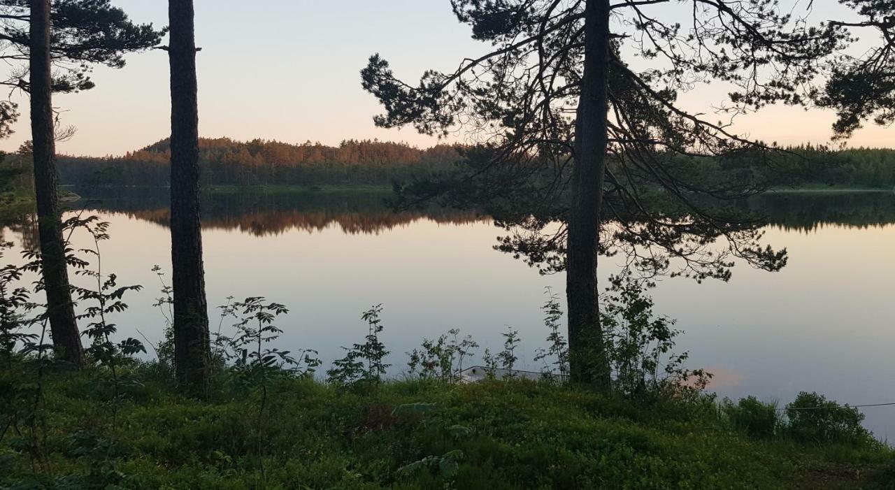 Ovrebo Cozy Cottage In The Woods, Near Dyreparken In Kristiansand, Lake Lolandsvannet المظهر الخارجي الصورة