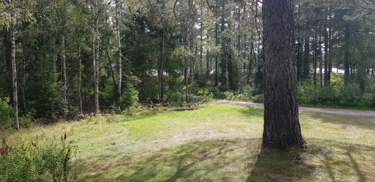 Ovrebo Cozy Cottage In The Woods, Near Dyreparken In Kristiansand, Lake Lolandsvannet المظهر الخارجي الصورة